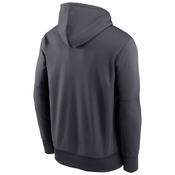 Carolina Panthers Community Therma Dri-FIT NFL Hoodie Anthracite view 2