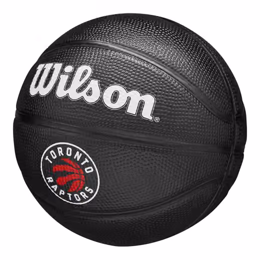 Toronto Raptors Tribute Wilson NBA Mini Basketball (Size 3) view 4