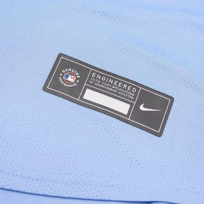 Tampa Bay Rays Nike Limited MLB Baseball Jersey Alternate Blue view 5