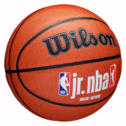 Wilson Jr. NBA Family Authentic Indoor/Outdoor Basketball (Size 6) view 4