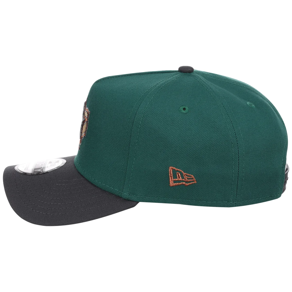 Houston Astros MLB Emerald Graphite New Era 9FORTY detail view