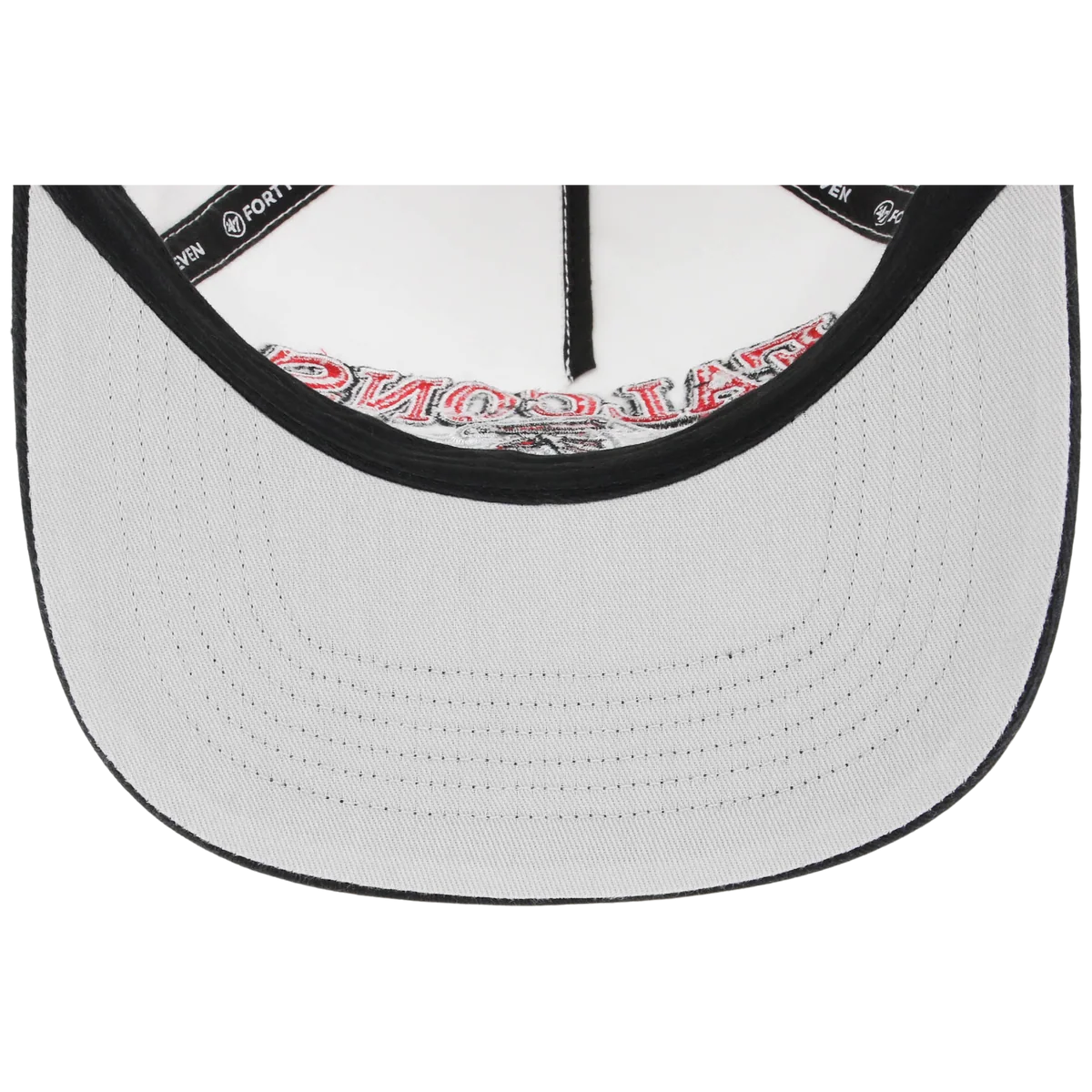 Carolina Panthers NFL '47 Big Time 2-Tone Hitch back view