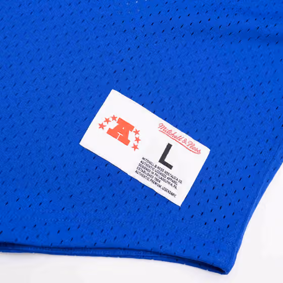 Buffalo Bills Unbeaten Mitchell & Ness NFL V-Neck Mesh Shirt Blue view 4