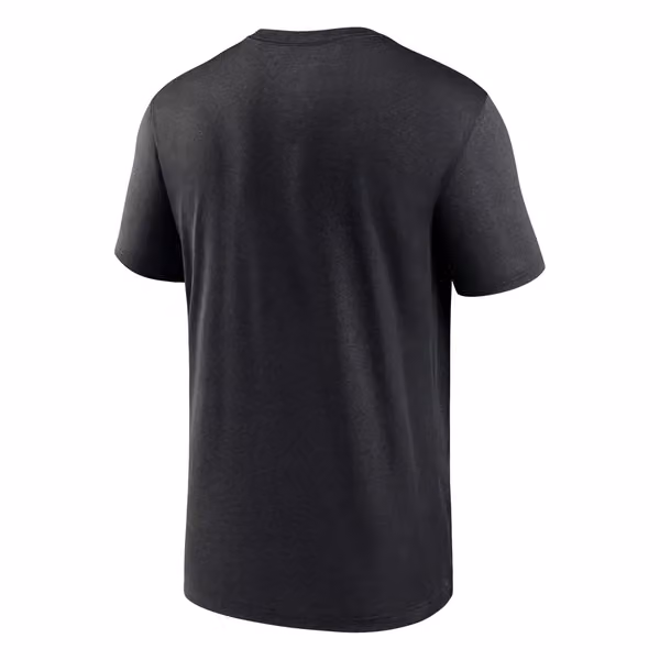 Pittsburgh Steelers 2025 Icon Nike Legend NFL T-Shirt Black view 2