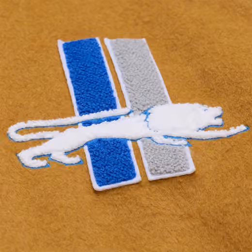 Detroit Lions Dusted Varsity NFL Jacket Brown/Cream view 4