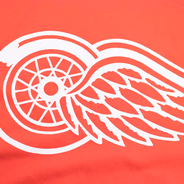Detroit Red Wings Primary Logo NHL T-Shirt Red view 3