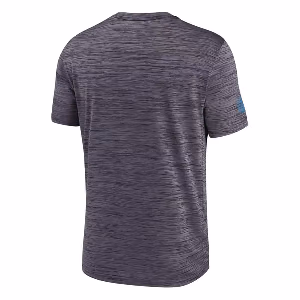 Carolina Panthers 2025 NFL Sideline Nike Velocity Performance T-Shirt Gray view 3