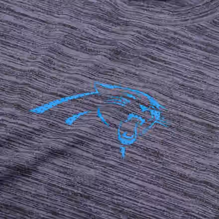 Carolina Panthers 2025 NFL Sideline Nike Velocity Performance T-Shirt Gray view 4