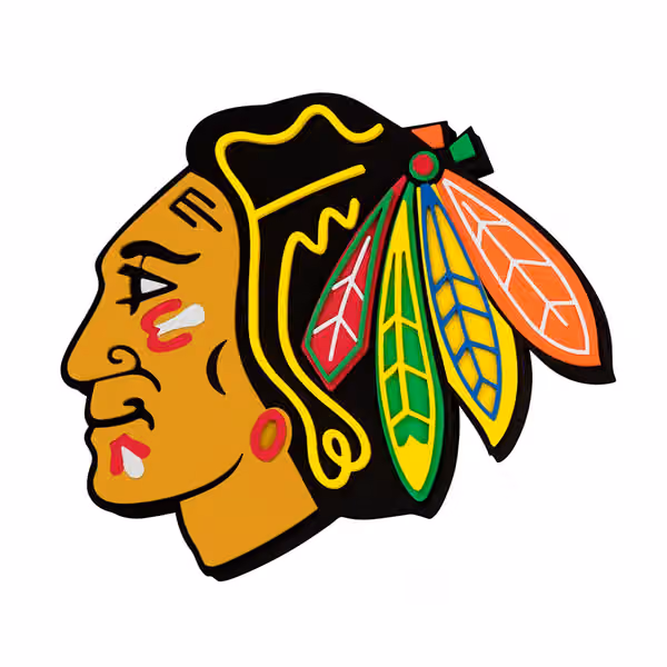 Chicago Blackhawks NHL 3D Foam Logo Wall Sign view 1