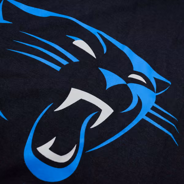 Carolina Panthers Nike Essential Logo NFL T-Shirt Black view 3