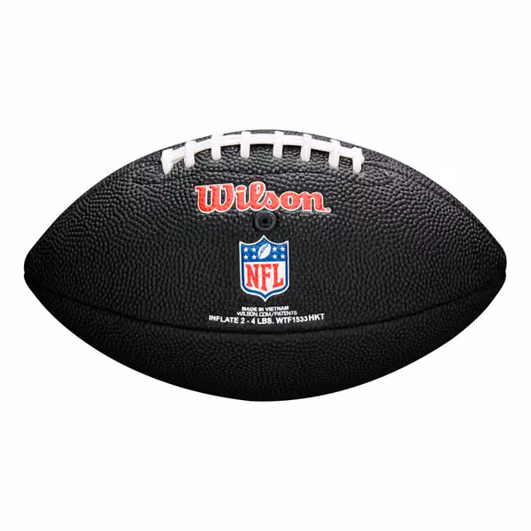 Miami Dolphins NFL Wilson Mini Football Black view 2