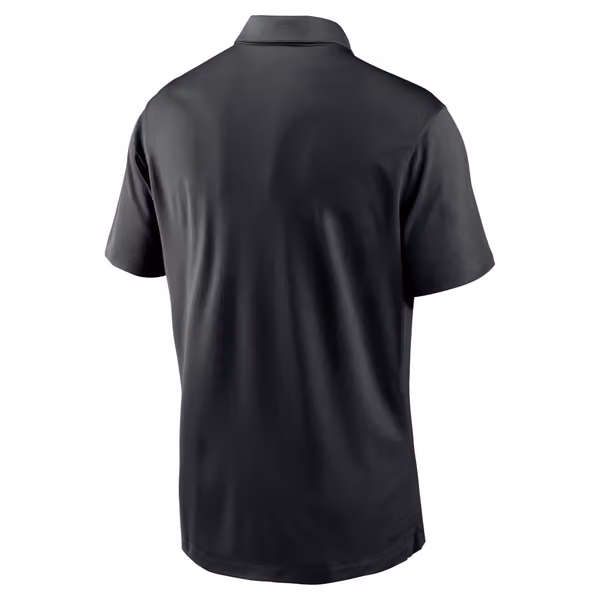 Pittsburgh Steelers Franchise Nike Dri-FIT NFL Poloshirt Black view 2