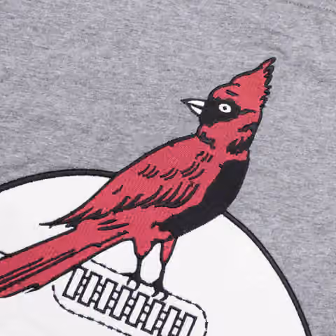 Arizona Cardinals Mitchell & Ness Color Blocked NFL Throwback T-Shirt view 2