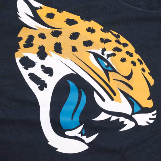 Jacksonville Jaguars Nike Essential Logo NFL T-Shirt Black view 3