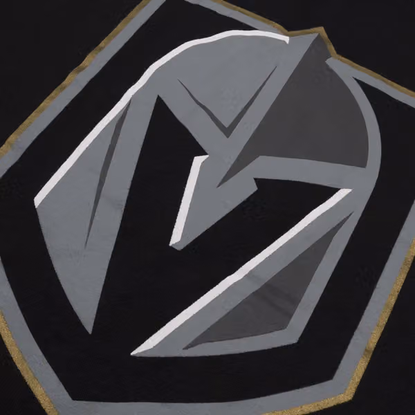 Vegas Golden Knights Imprint Tonal Logo Headline NHL Hoodie view 3