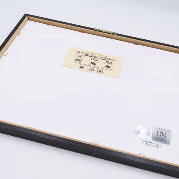 Green Bay Packers Super Bowl Tickets Bronze Coins Framed NFL Photo view 2