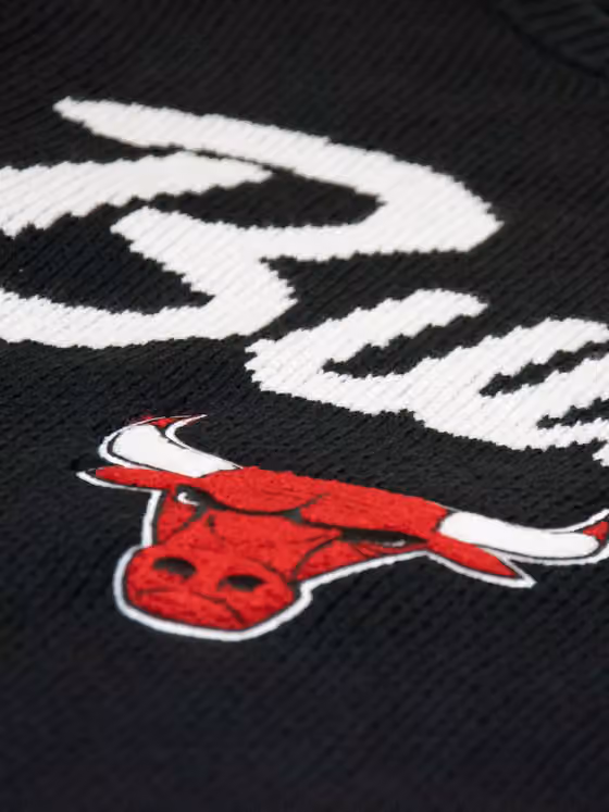 Chicago Bulls NBA Head Coach Sweater Black view 4