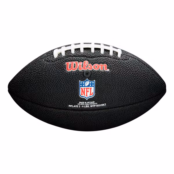 Detroit Lions NFL Mini Football Black view 2