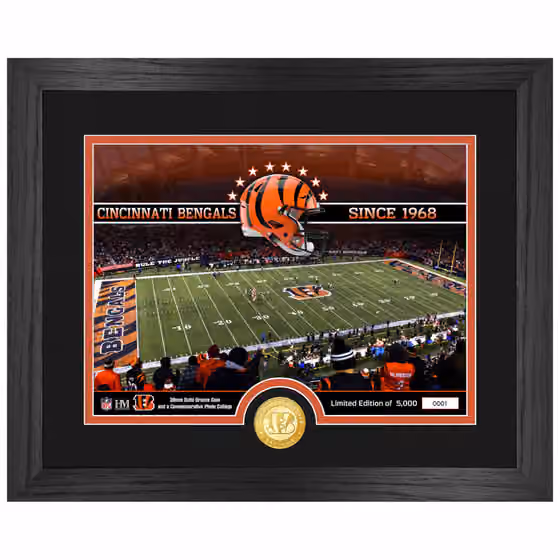 Cincinnati Bengals Team Stadium Bronze Coin Framed NFL Photo view 1