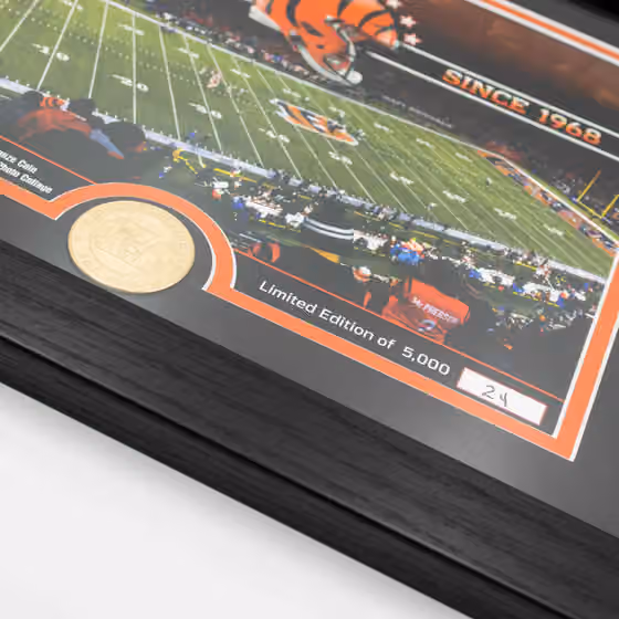Cincinnati Bengals Team Stadium Bronze Coin Framed NFL Photo view 2