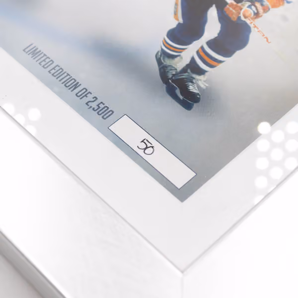 Wayne Gretzky The Great One Panorama Silver Coin Framed NHL Photo view 2