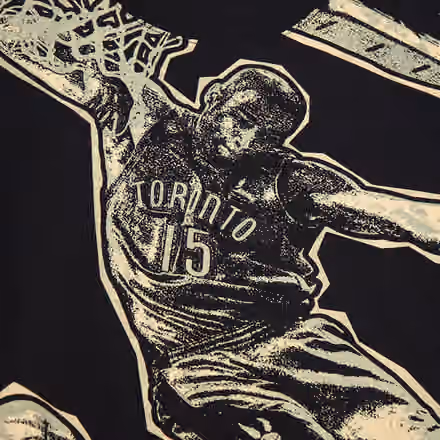 Vince Carter 2024 Hall of Fame Mitchell & Ness Premium NBA T-Shirt view 4