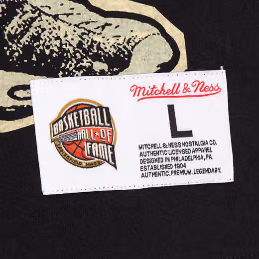 Vince Carter 2024 Hall of Fame Mitchell & Ness Premium NBA T-Shirt view 3