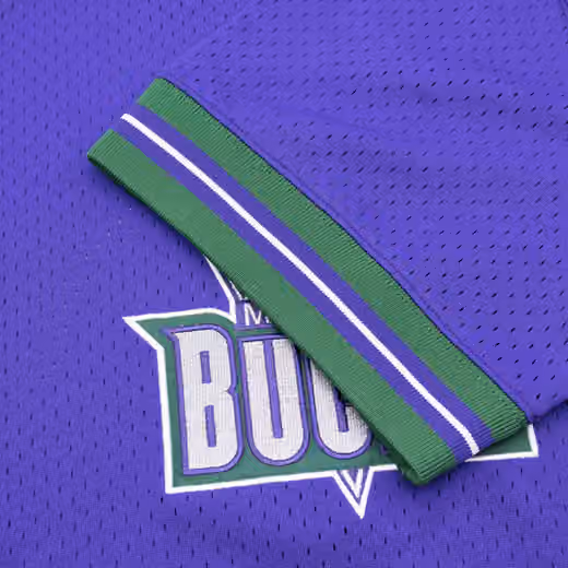 Milwaukee Bucks Unbeaten Mitchell & Ness NBA V-Neck Mesh Shirt Purple view 4