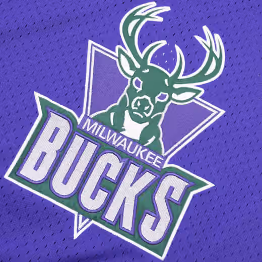 Milwaukee Bucks Unbeaten Mitchell & Ness NBA V-Neck Mesh Shirt Purple view 3