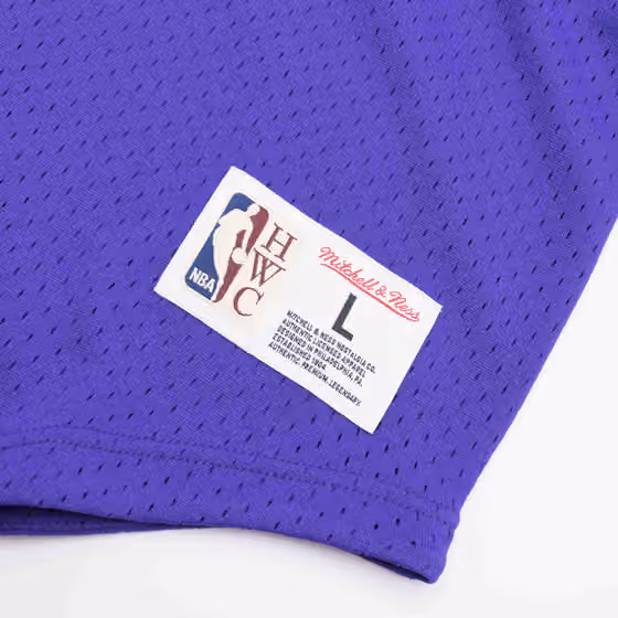 Milwaukee Bucks Unbeaten Mitchell & Ness NBA V-Neck Mesh Shirt Purple view 5