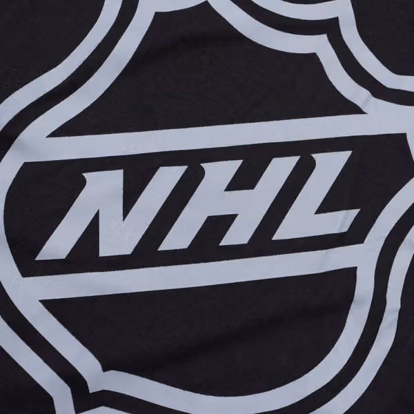 NHL Shield Gray Logo '47 Echo NHL T-Shirt Black view 3