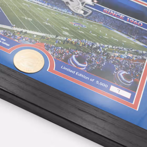 Buffalo Bills Team Stadium Bronze Coin Framed NFL Photo view 2