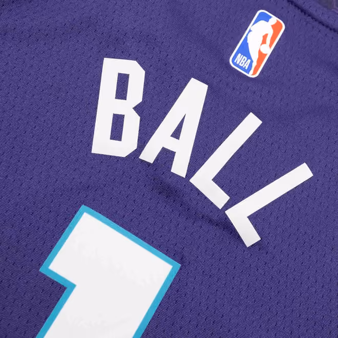 LaMelo Ball #1 Charlotte Hornets Jordan Swingman NBA Jersey Purple (YOUTH) view 4