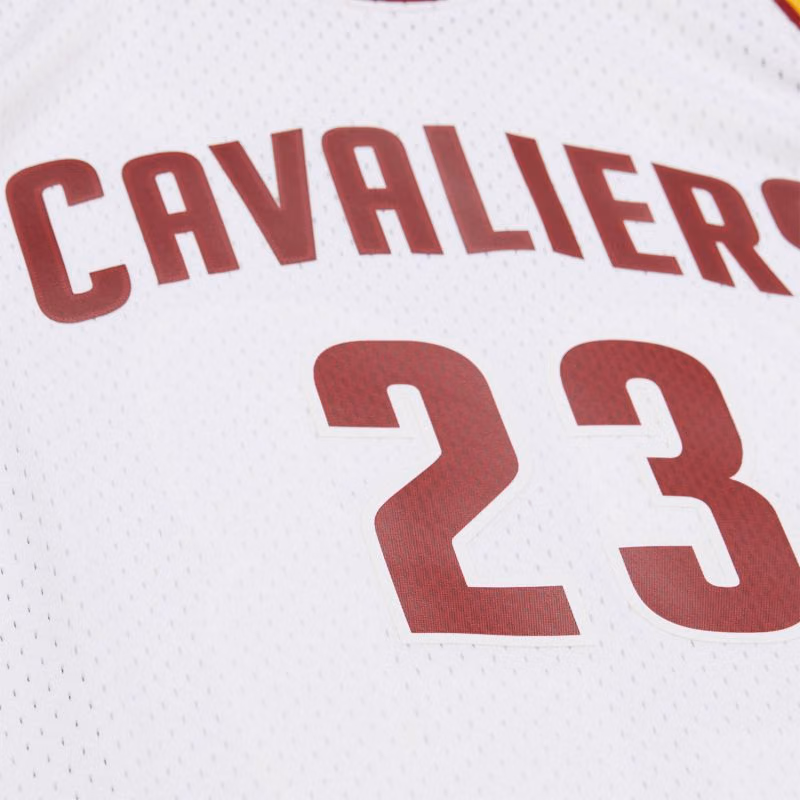 LeBron James #23 Cleveland Cavaliers 2015-16 Swingman NBA Jersey White view 5