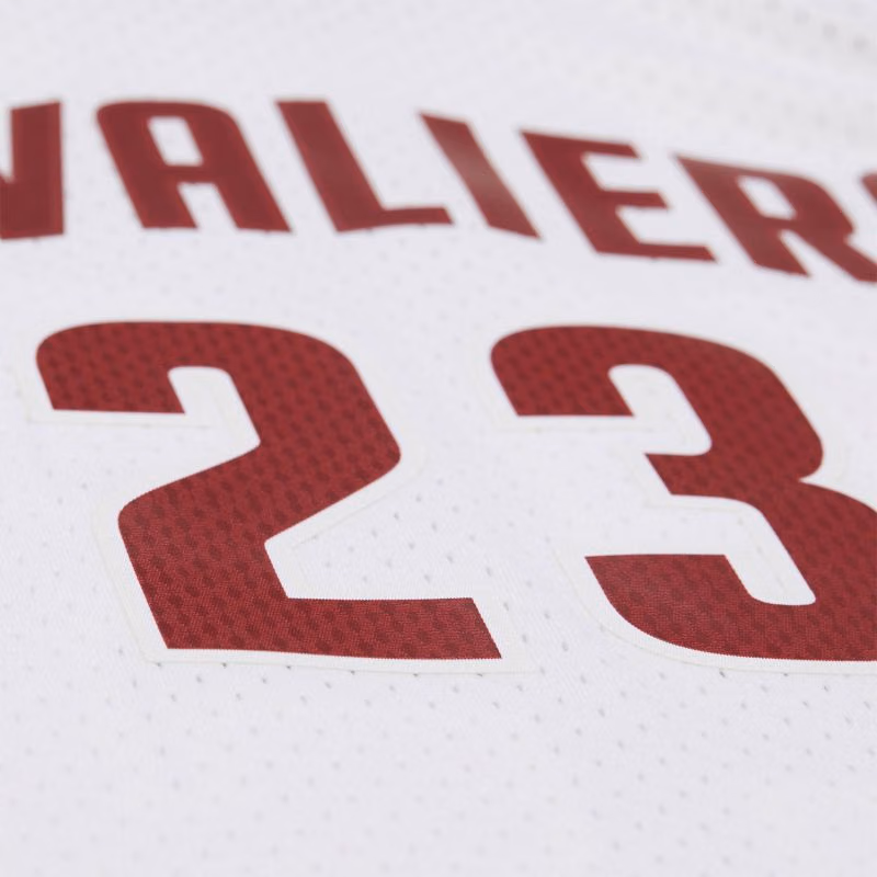LeBron James #23 Cleveland Cavaliers 2015-16 Swingman NBA Jersey White view 4
