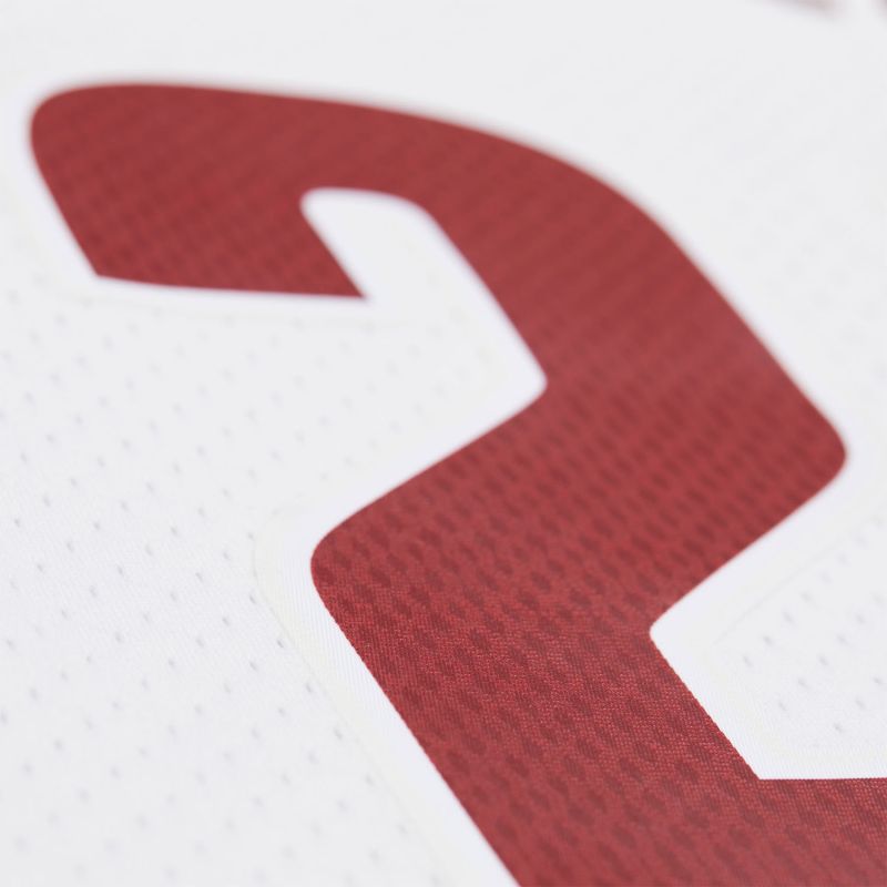 LeBron James #23 Cleveland Cavaliers 2015-16 Swingman NBA Jersey White view 6