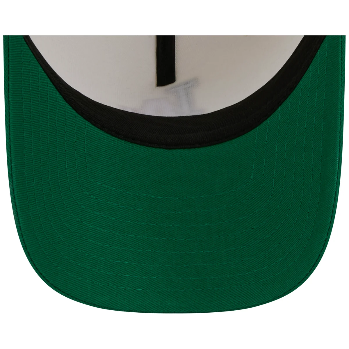 Los Angeles Dodgers Los Angeles Crown the City - MX Flag Fill - Chrome/Green New Era 9FORTY back view