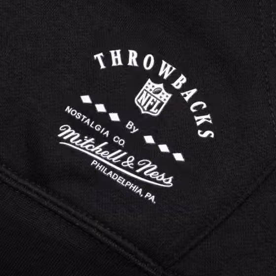 Carolina Panthers Mitchell & Ness Classic Arch NFL Hoodie Black view 5