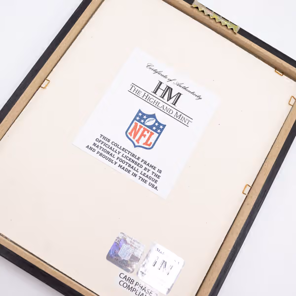 Washington Commanders NFL Team Helmet Framed Photo view 2
