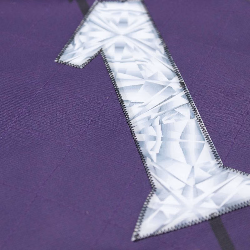 Tracy McGrady #1 Toronto Raptors 75th Anniversary Mitchell & Ness Swingman NBA Jersey Purple view 5