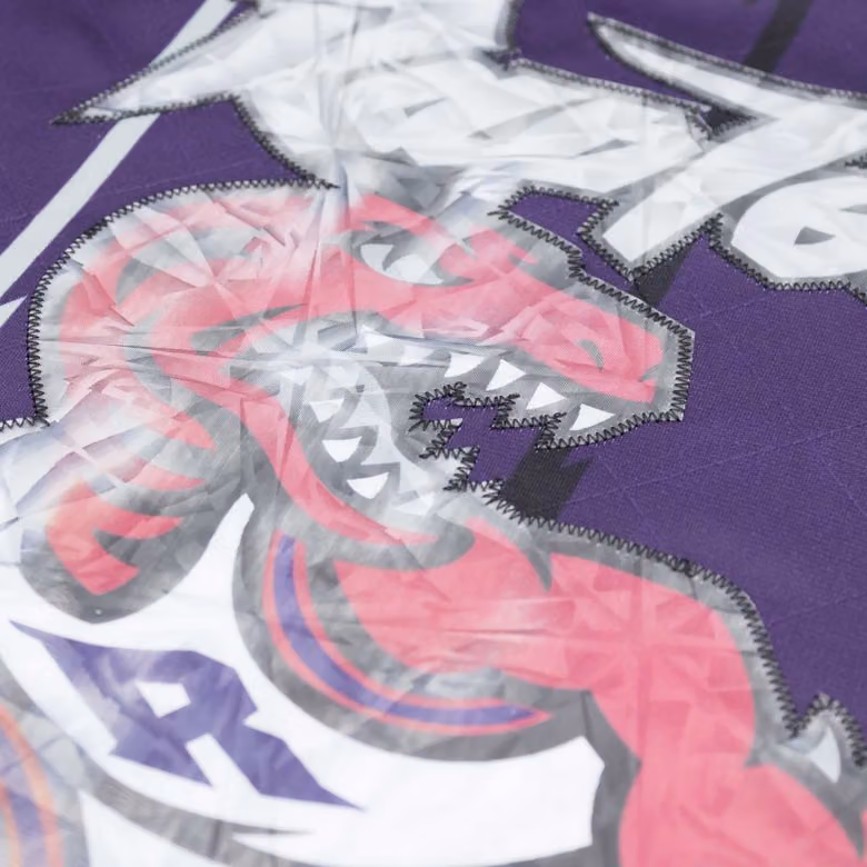 Tracy McGrady #1 Toronto Raptors 75th Anniversary Mitchell & Ness Swingman NBA Jersey Purple view 6
