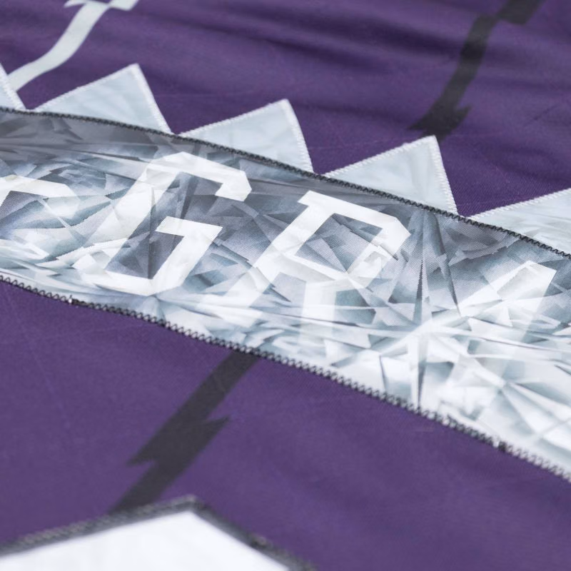 Tracy McGrady #1 Toronto Raptors 75th Anniversary Mitchell & Ness Swingman NBA Jersey Purple view 4