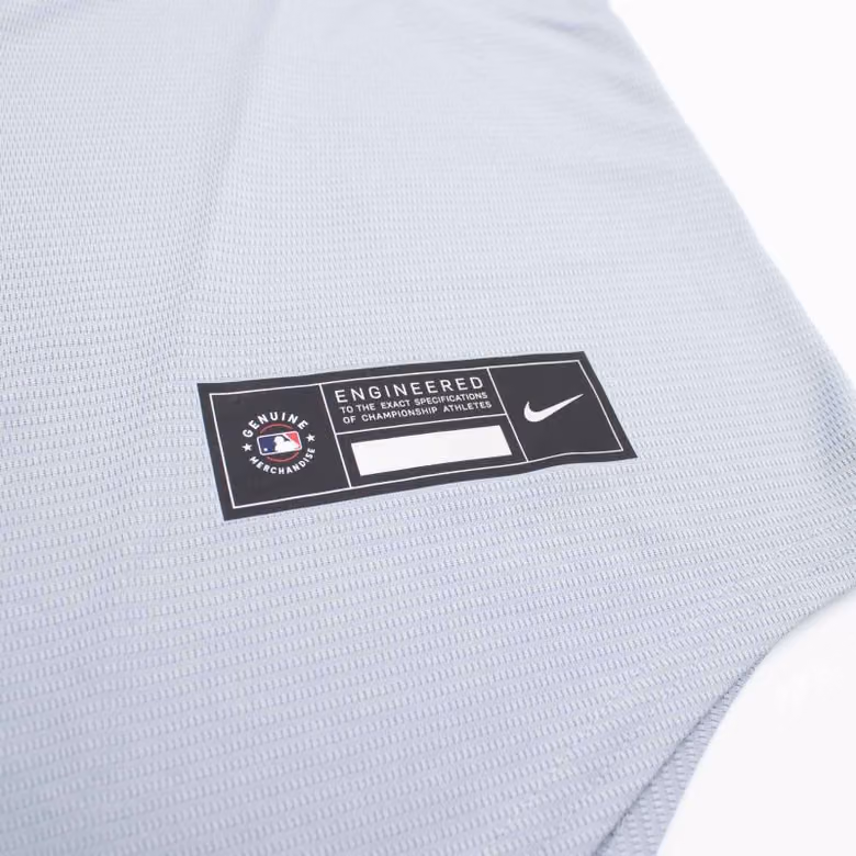 Los Angeles Dodgers Stadium Road MLB Jersey Gray view 5