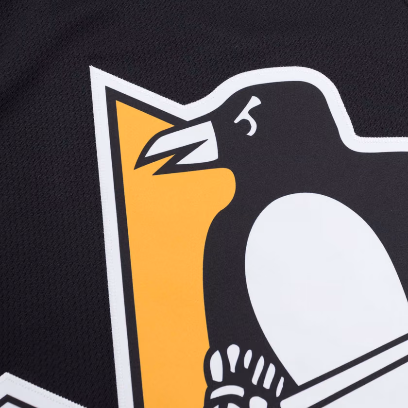 Mario Lemieux #66 Pittsburgh Penguins Vintage Heritage Breakaway NHL Jersey view 5