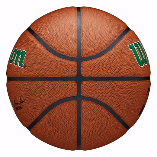 Boston Celtics Wilson Team Alliance NBA Basketball (Size 7) view 5