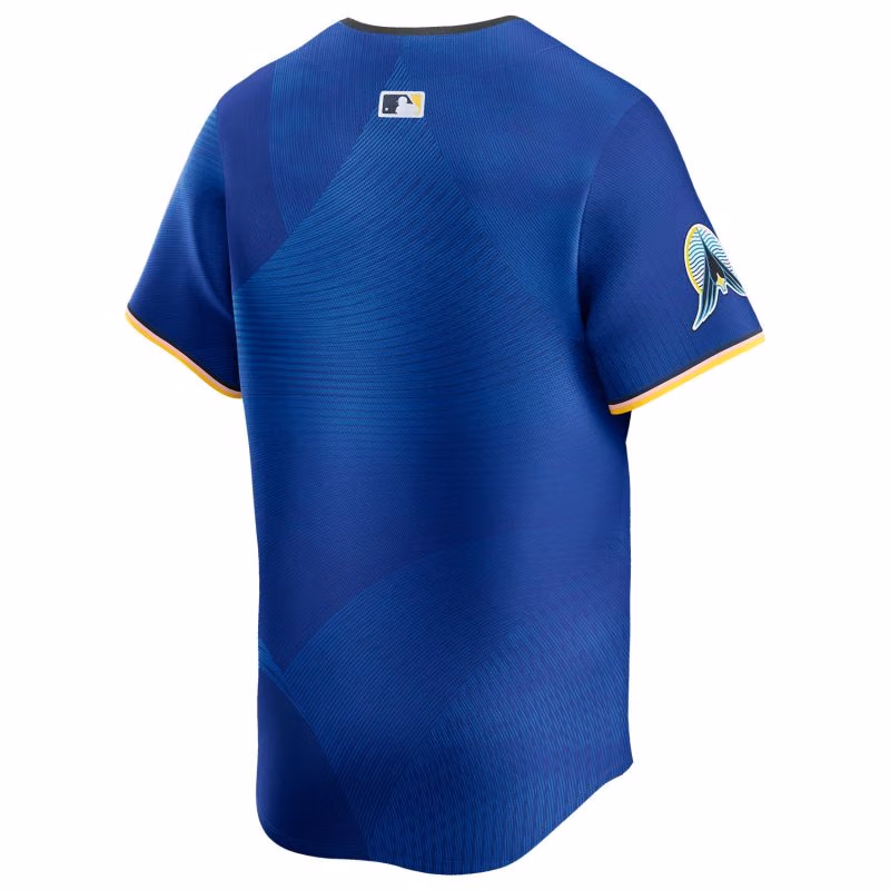 Minnesota Twins City Connect Nike Limited MLB Jersey Blue view 2