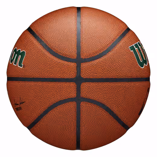 Milwaukee Bucks Wilson Team Alliance NBA Basketball (Size 7) view 5