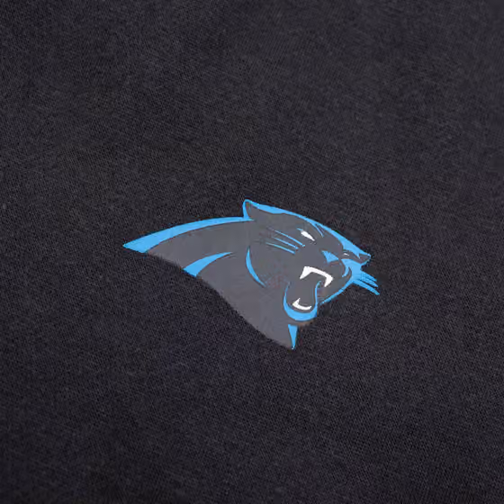 Carolina Panthers Primary Logo NFL Sweat Shorts Black view 4