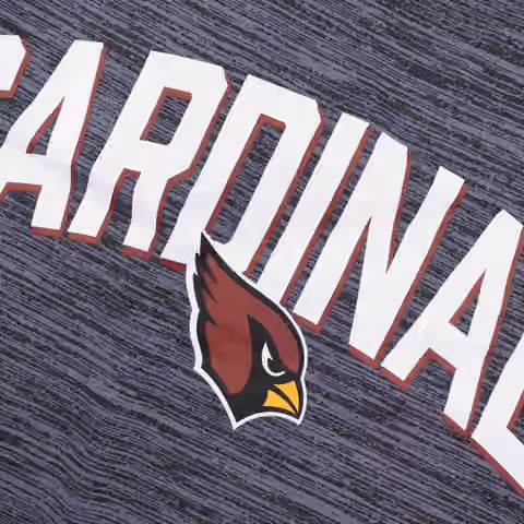 Arizona Cardinals 2022 NFL Sideline Nike Velocity Performance T-Shirt view 3