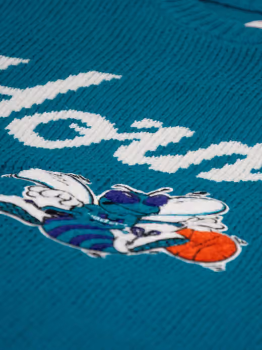 Charlotte Hornets NBA Head Coach Sweater Teal view 4